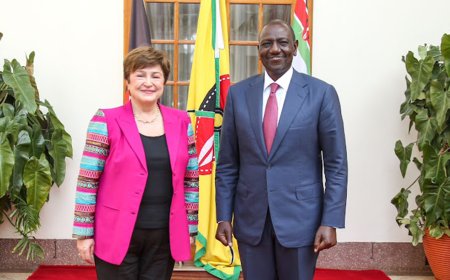 Why IMF Team Is In Kenya For 2 Weeks