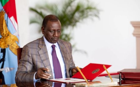 MPs Approve 11 Diplomats & Political Parties Registrar Nominated By Ruto