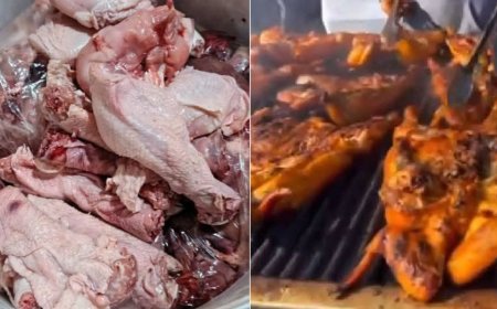 Hotel Busted Selling Flamingo Meat To Innocent Kenyans