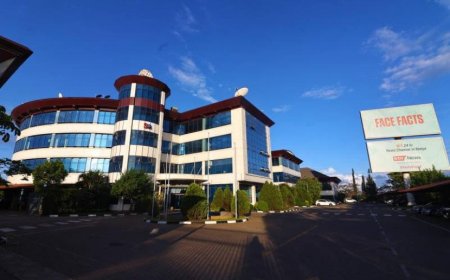 Ex-Standard Group Journalist Appointed Kenya Editors Guild CEO