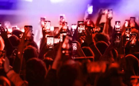 EXPLAINED: Can Too Many People At A Concert Cause A Network To Fail?