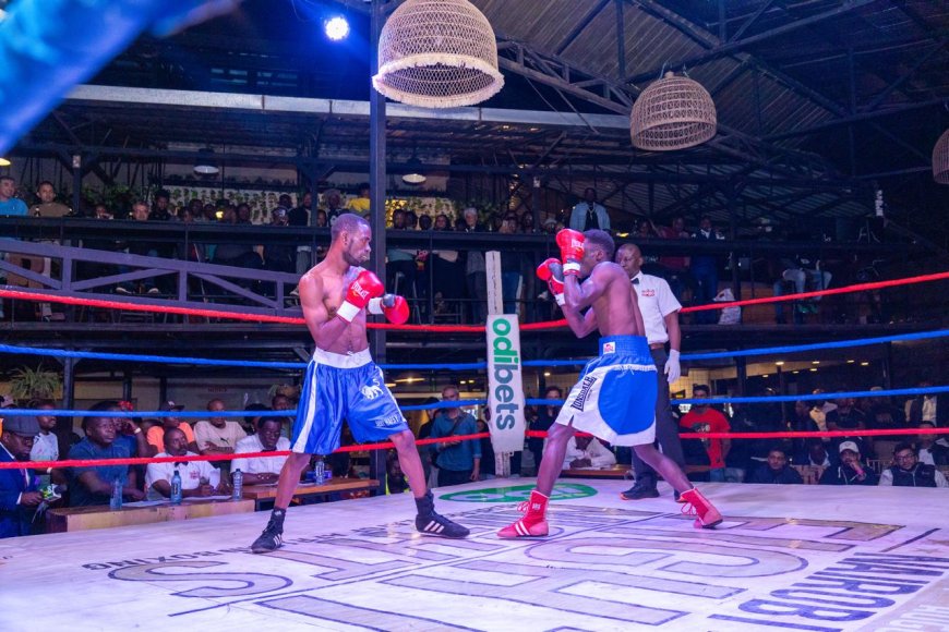 Taking Kenya Boxing to Another Level: Odibets, Aiwex Sports Host Nairobi Fight Night