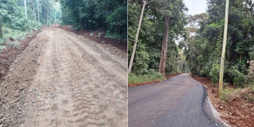 Why Your Saturday Karura Walks Will Never Be the Same