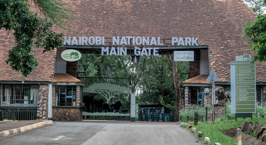 You Will Pay More To Enter Kenya's National Parks From This Week: KWS