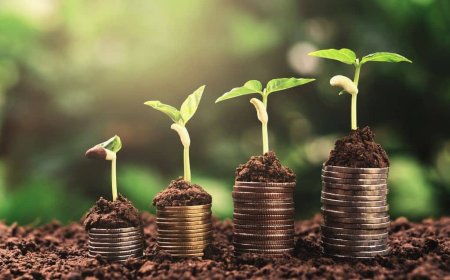 Why You Should Pay Attention To Kenyan Companies Releasing Sustainability Reports