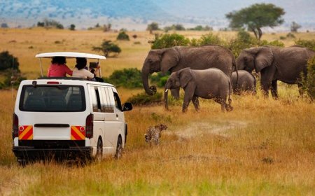 Why Kenya and Africa’s Youth Could Redefine the Global Tourism Game