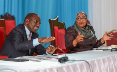 Tanzania Spares Kenya From Ban On Foreigners Doing 15 Businesses