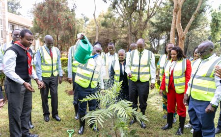 Equity Group, TSC, Champion Sustainability Through Tree Planting Ahead of Teachers Day