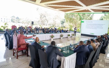 Ruto Issues Order To PSs Over Program Paying Kenyan Youth Ksh50,000 Monthly