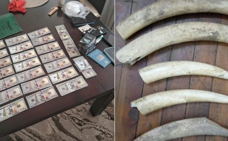 Ksh17 Million In Drugs, Ksh4 Million Fake Dollars Seized During Week-Long Crackdown