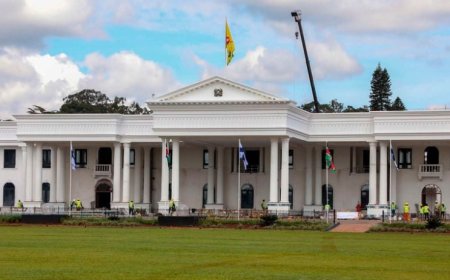 GSU Officer Ambushed & Speared To Death Outside State House