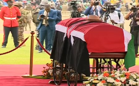 African Presidents In Attendance At Raila Odinga's State Funeral