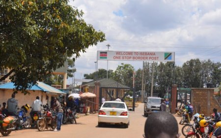 Kenyans Storm Tanzania Border After Suluhu Govt Arrests Leader Going To Raila's Burial