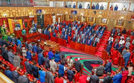 MPs Agree To Affirm Creation Of Prime Minister, Opposition Offices During Raila's Burial
