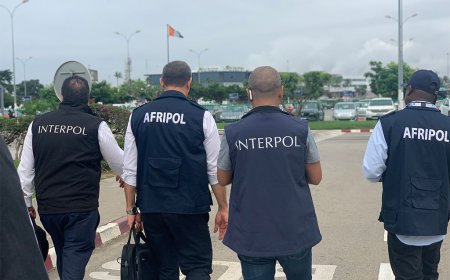 INTERPOL Goes After Kenyans In Crackdown Covering 6 Countries