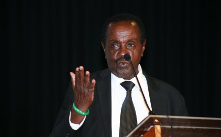 Former State House Official Sammy Lui Dies