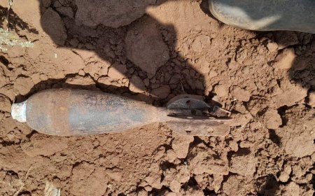 Police Deployed After Farmer Discovers Live World War I Bomb