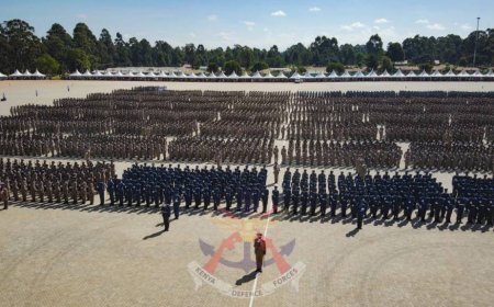 KDF Shortlists 3000 Candidates For These Positions After Recruitment Exercise: How To Check