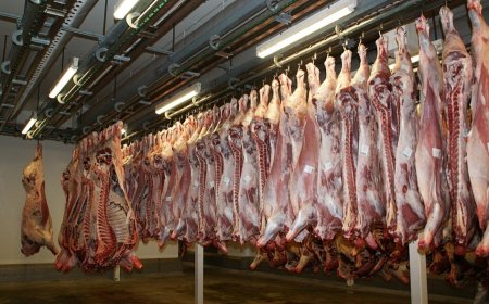 Govt Orders Immediate Closure Of All These Butcheries