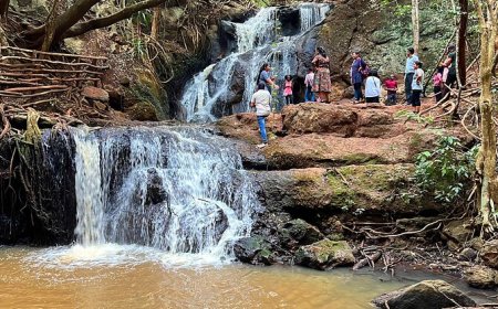 Govt Recovers Multi Billion Land Grabbed From Karura Forest Almost 30 Years Ago