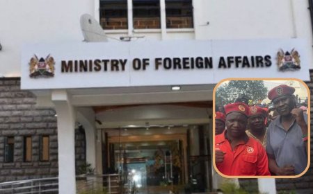 2 Activists Protesting Disappearance Of Bob Njagi, Nicolas Oyoo Released After Arrest Outside Govt Offices