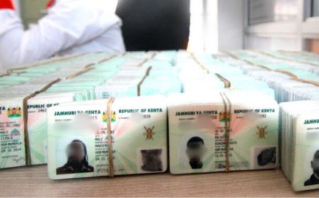Govt Removes Fees For Replacing ID Cards