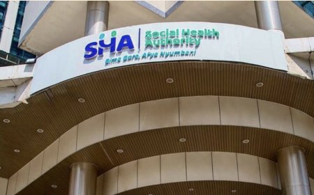 Former SHA CEO Among 9 Arrested In Fraud Scheme