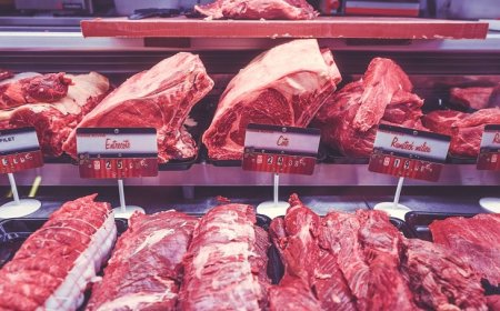 Beef, Matatu Fares Among Items Whose Prices Increased: KNBS Report