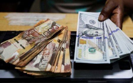 Experts: Why Kenya Should Not Rely Too Much On Money Sent From Abroad