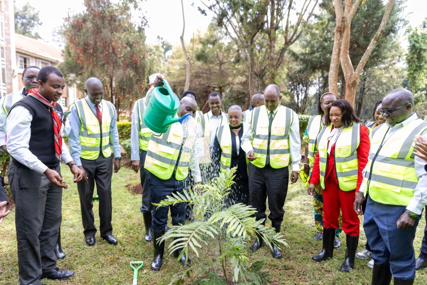 Equity Group, TSC, Champion Sustainability Through Tree Planting Ahead of Teachers Day