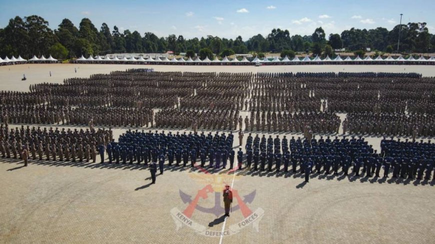 KDF Shortlists 3000 Candidates For These Positions After Recruitment Exercise: How To Check