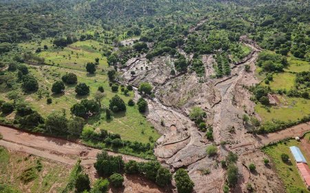 Explained: Difference Between Mudslides and Landslides