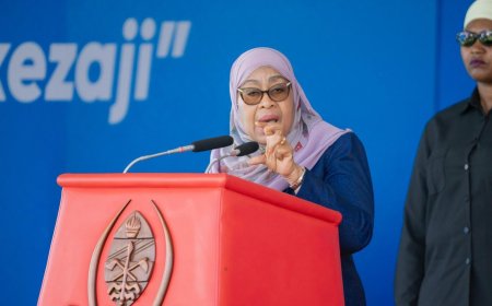 Kenya Intervenes After Reported Harassment Of Foreigners Following Suluhu Remarks