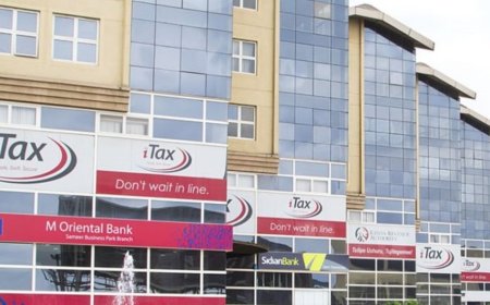 KRA To Start Verifying All Taxpayer Declarations When Filing Tax Returns