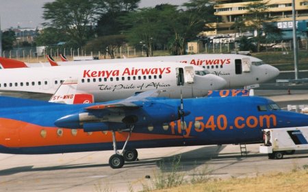 Why Kenya Govt Has Banned Import Of These Planes