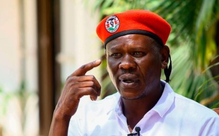 Bob Njagi Calls For Kenya To Close Its Borders In Protest Of Tanzania Crackdown