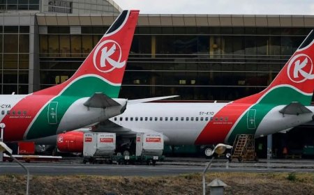 MPs Demand Overhaul Of Kenya Airways Over 'Flight Delays, Lost Bags, Arrogance, Dirty Cabins'