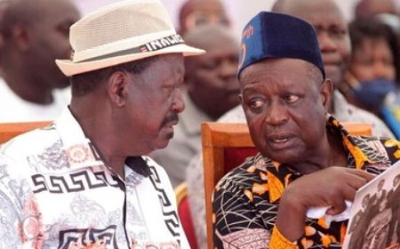 Petition Filed To ODM Demanding Oburu Odinga's Resignation