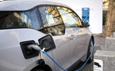 30 New Electric Vehicles Hit Kenyan Roads as Green Transport Gains Momentum