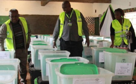 IEBC Reveals Process Of Voting In November 27 By-Elections