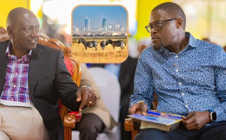 Sakaja Calls Out Ruto Govt Over Control Of Nairobi National Park