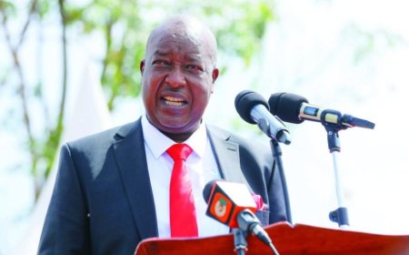 Nyamira Governor Amos Nyaribo Impeached Again