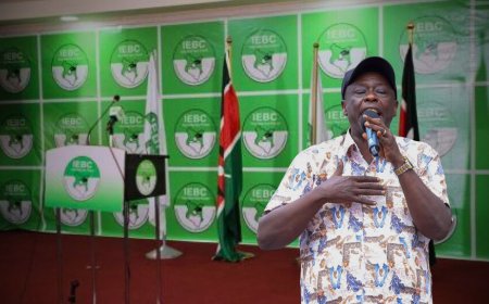 UDA Advises IEBC On How To Deal With Gachagua