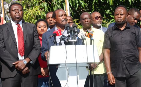 Opposition Claims To Have Found 30,000 Pre-Marked Ballot Papers In Mbeere North