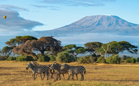 Kenya Set For Massive Tourism Boost After Africa’s Move on Fashion, Film & Music