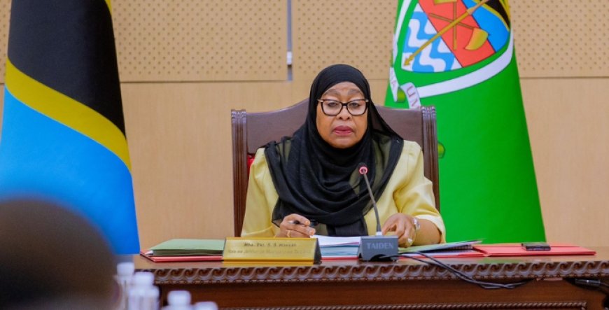 Spotlight On Suluhu As UN Demands Action On Tanzania Killings