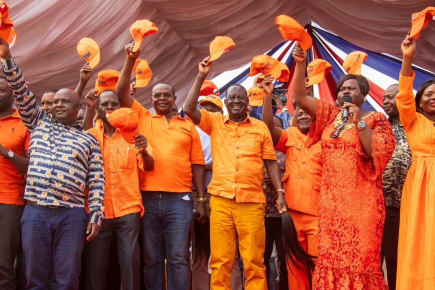 ODM Picks Raila Odinga's Sister Among Top Leadership Changes