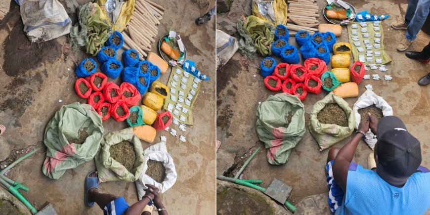 Govt Fires Warning After Police, NACADA Disrupt Multi Million Drug Business