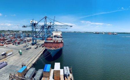 Govt Explains Planned Crackdown On Specific Ships