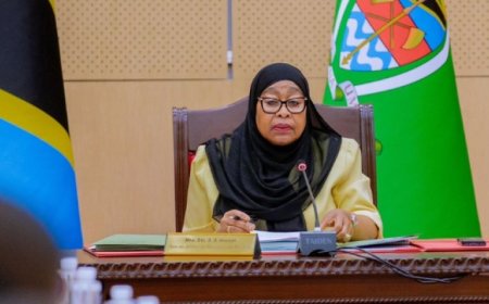 UK, Canada, 15 Countries Torment Suluhu, Issue Tough Demands